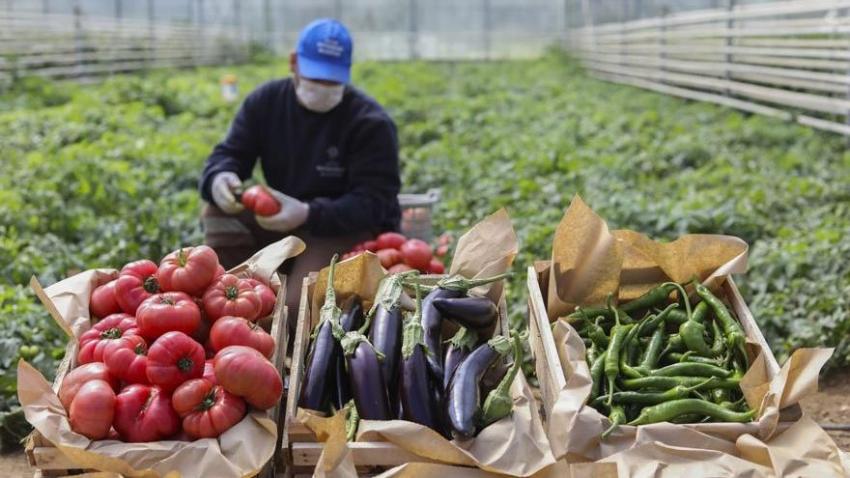 AKP MILLETVEKILI EKONOMIK KRIZIN FATURASINI TRAKTÖR SATIN ALAN ÇIFTÇIYE KESTI!
