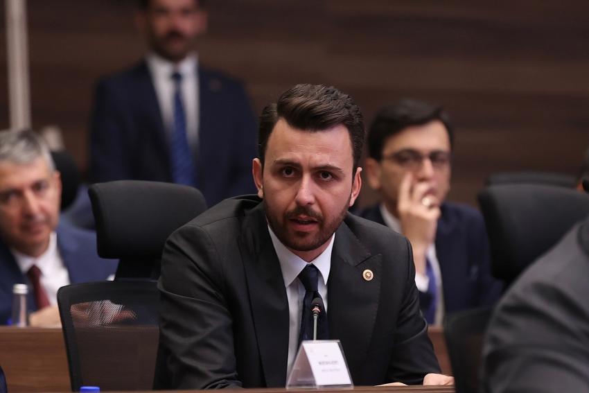 Vicdanları Yaralayan Olay: Patili Dostlarımızın Öldürülmesi Kabul Edilemez