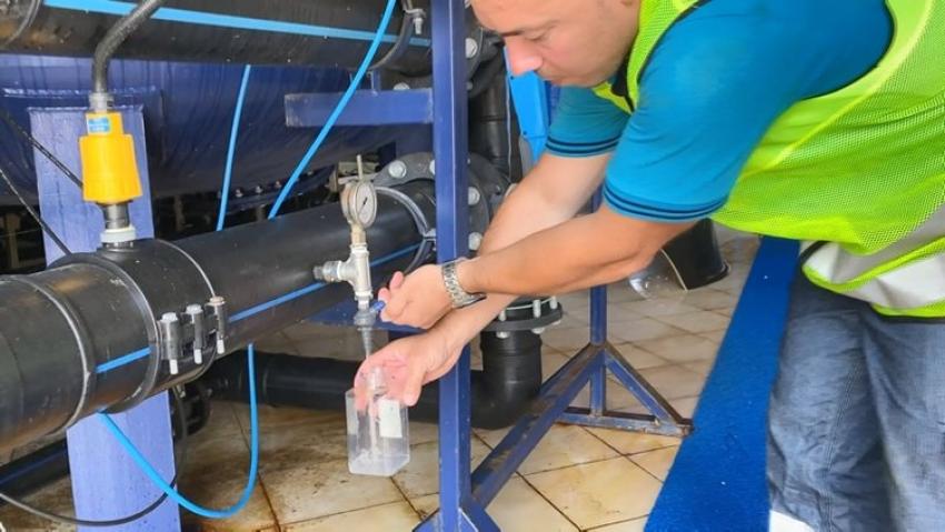 BALIKESIR'IN AVŞA ADASI 180 BIN NÜFUSA ÇIKTI! TATILCILER KALACAK YER BULAMADI