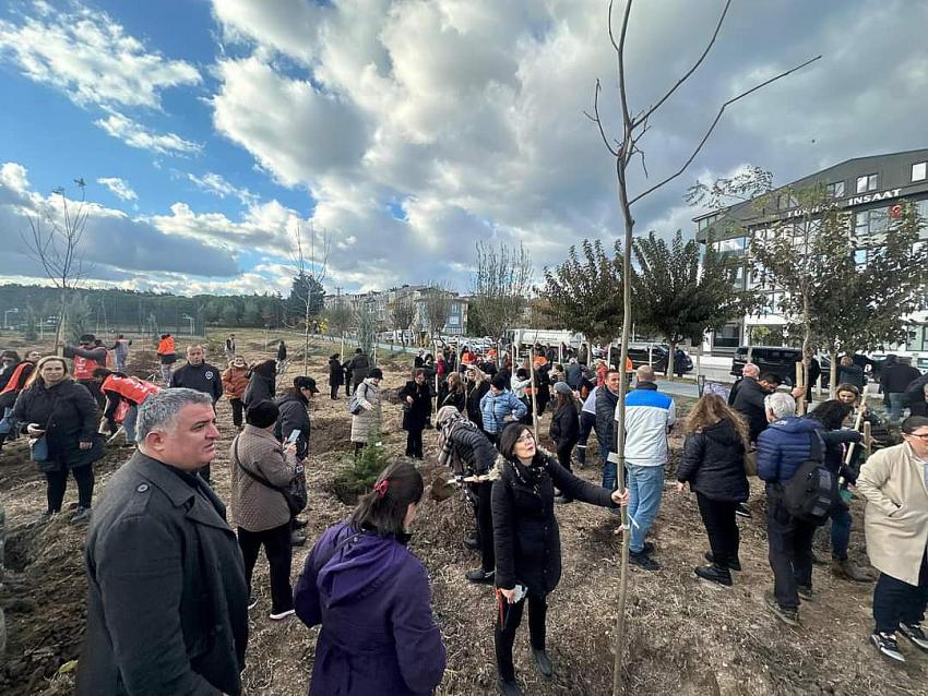 BANDIRMA BELEDİYESİ'NDEN KATLEDİLEN KADINLAR ANISINA YAŞAM ORMANI