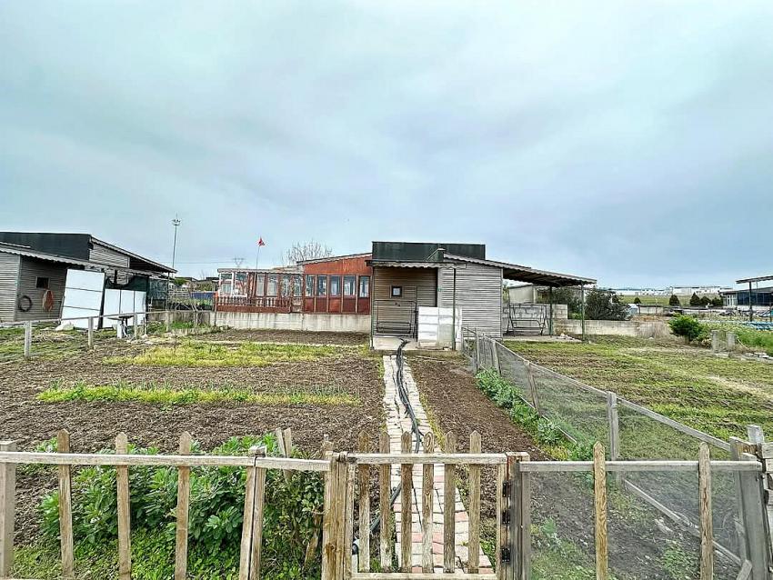 BANDIRMA BELEDİYESİ HOBİ BAHÇELERİNDE YENİ DÜZENLEMELER YOLDA