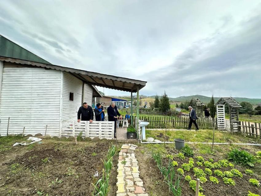 BANDIRMA BELEDİYESİ HOBİ BAHÇELERİNDE YENİ DÜZENLEMELER YOLDA