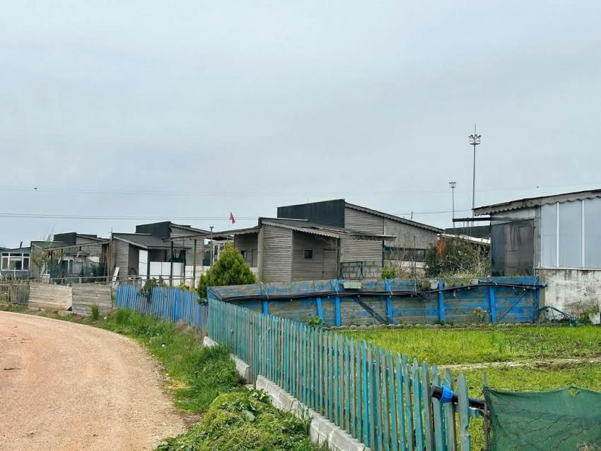 BANDIRMA BELEDİYESİ HOBİ BAHÇELERİNDE YENİ DÜZENLEMELER YOLDA