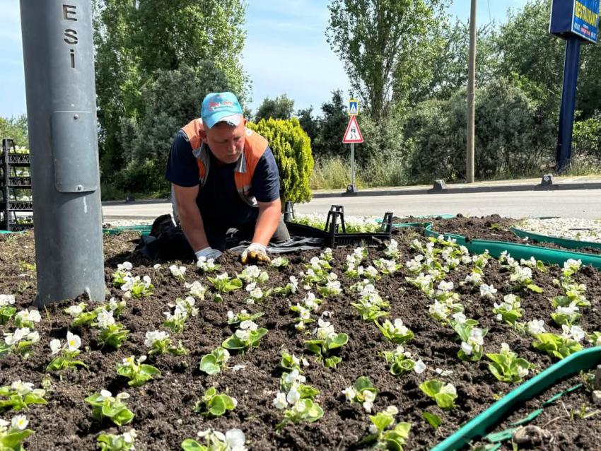 BANDIRMA’DA HİZMET ATAĞI: ÇEVRE DÜZENLEMESİ, ASFALT ONARIMI VE TRAFİK DÜZENLEMELERİ SÜRÜYOR
