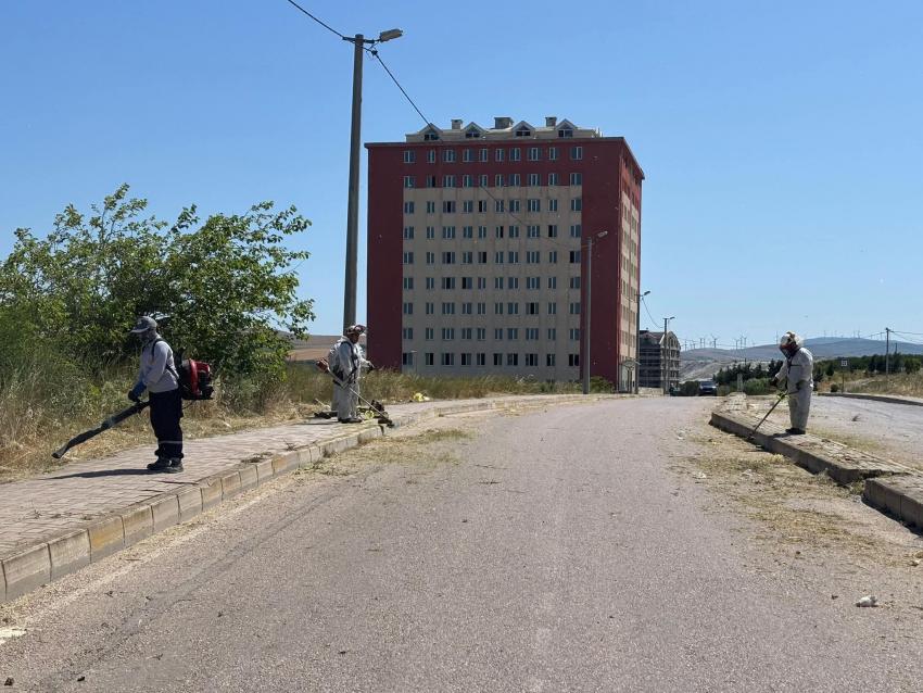 BANDIRMA’DA ÇALIŞMALAR TÜM HIZIYLA SÜRÜYOR