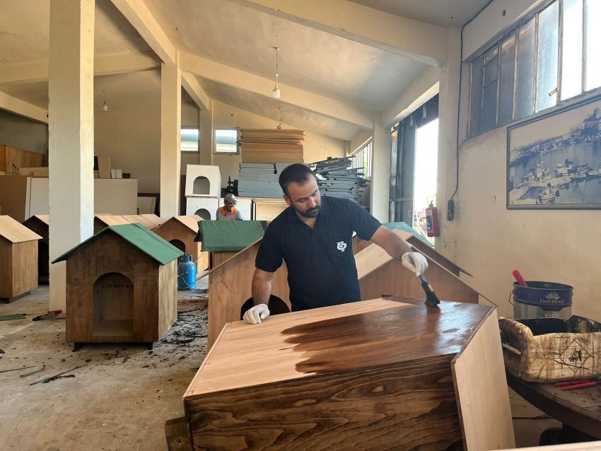 BANDIRMA BELEDİYESİ’NDEN PATİLİ DOSTLARA SICAK BİR YUVA