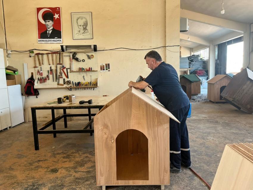 BANDIRMA BELEDİYESİ’NDEN PATİLİ DOSTLARA SICAK BİR YUVA