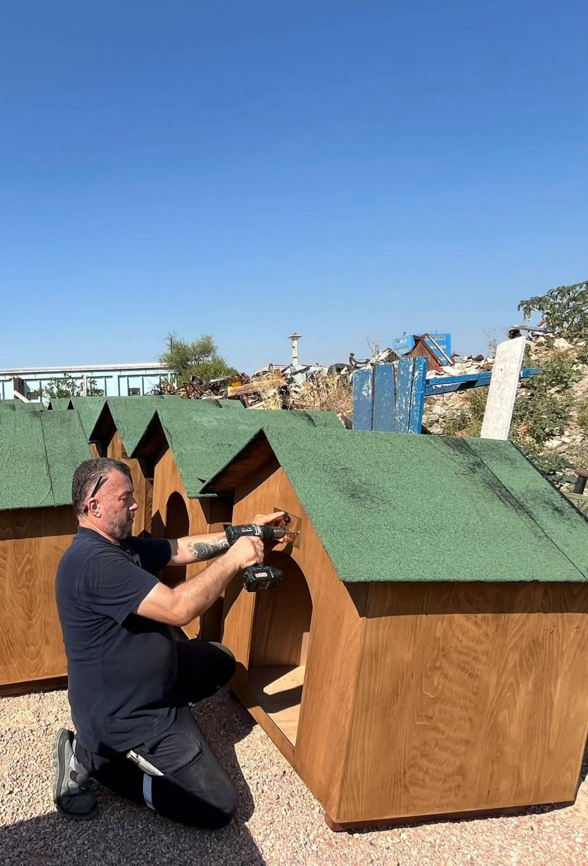 BANDIRMA BELEDİYESİ’NDEN PATİLİ DOSTLARA SICAK BİR YUVA