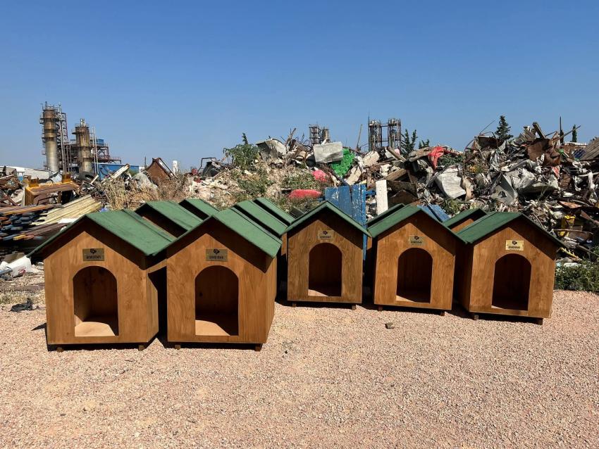 BANDIRMA BELEDİYESİ’NDEN PATİLİ DOSTLARA SICAK BİR YUVA