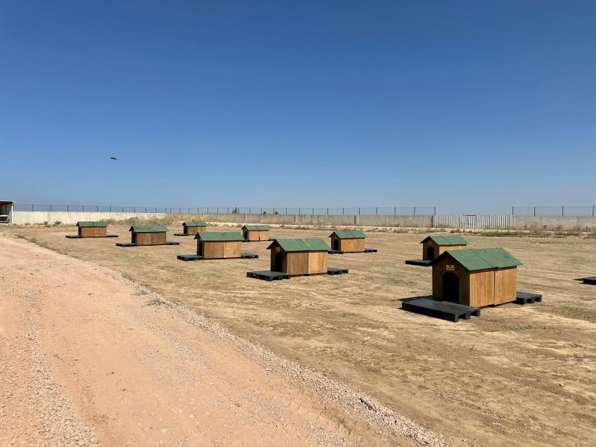 BANDIRMA BELEDİYESİ’NDEN SOKAKTAKİ CANLAR İÇİN YENİ YAŞAM ALANI