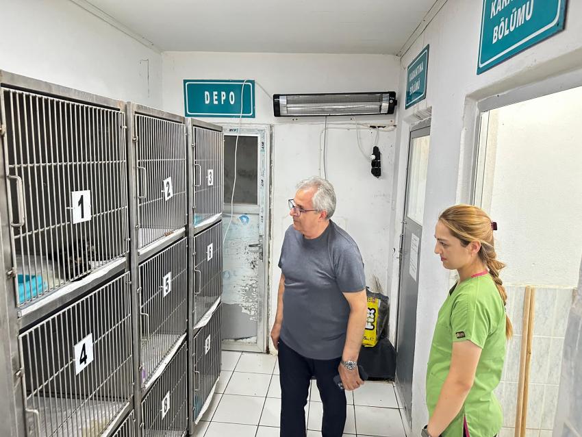 BANDIRMA BELEDİYESİ’NDEN SOKAKTAKİ CANLAR İÇİN YENİ YAŞAM ALANI