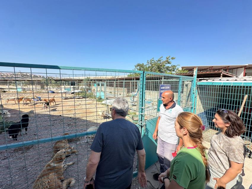 BANDIRMA BELEDİYESİ’NDEN SOKAKTAKİ CANLAR İÇİN YENİ YAŞAM ALANI