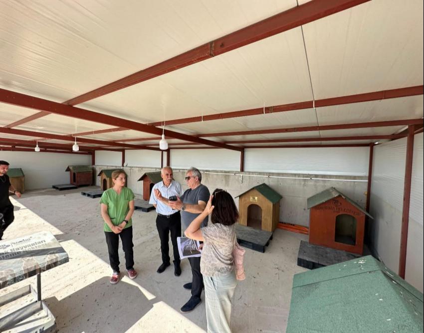 BANDIRMA BELEDİYESİ’NDEN SOKAKTAKİ CANLAR İÇİN YENİ YAŞAM ALANI