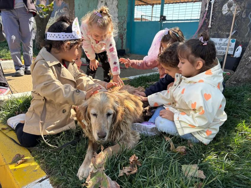 MİNİKLERDEN CAN DOSTLARA ZİYARET!