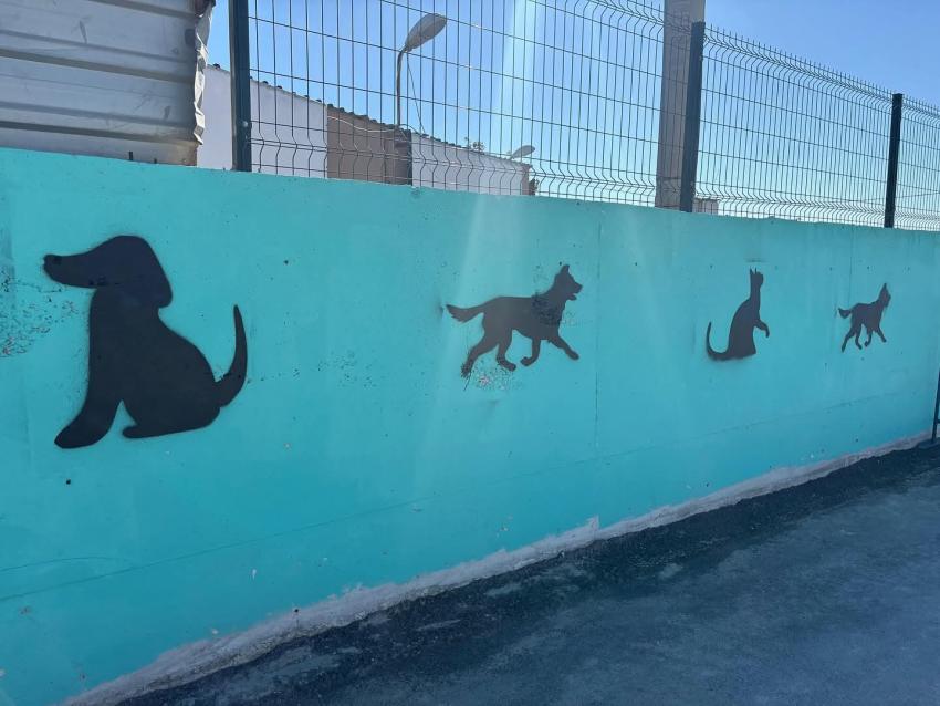 MİNİKLERDEN CAN DOSTLARA ZİYARET!