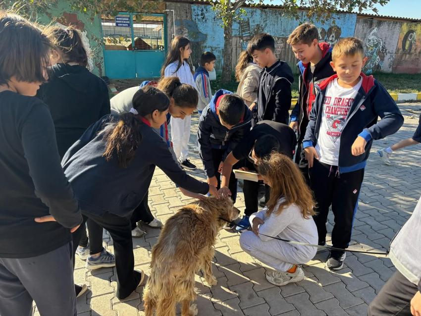 MİNİKLERDEN CAN DOSTLARA ZİYARET!