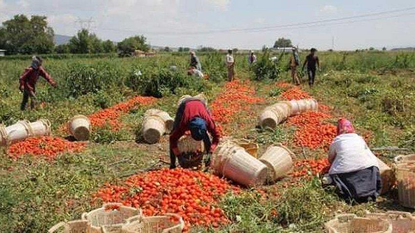 AKP MILLETVEKILI EKONOMIK KRIZIN FATURASINI TRAKTÖR SATIN ALAN ÇIFTÇIYE KESTI!