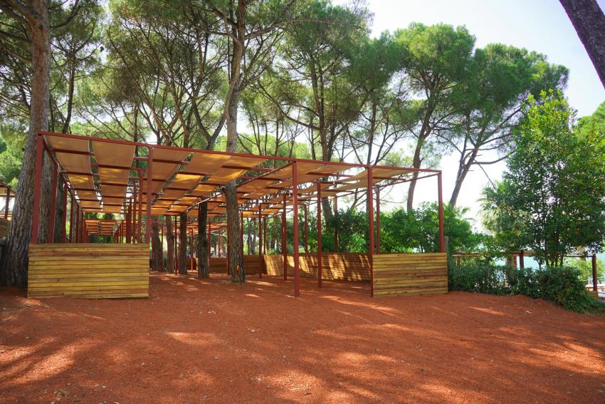 16.AYVALIK ULUSLARARASI ZEYTİN HASAT FESTİVALİ,  BAŞLIYOR