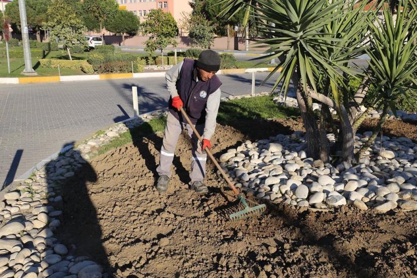“BURHANİYE’DE GÜZ ÇİÇEKLERİ AÇIYOR”