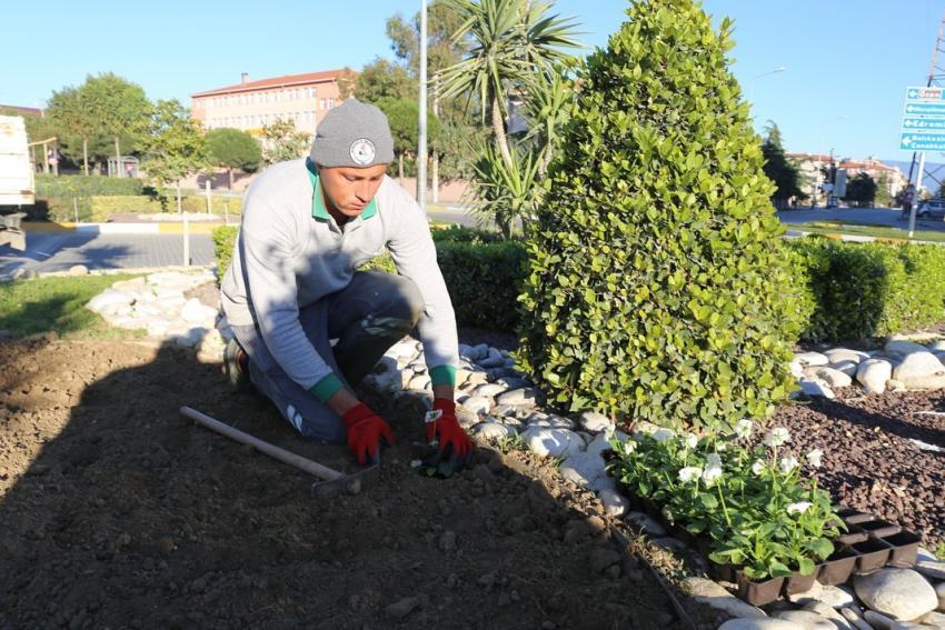 “BURHANİYE’DE GÜZ ÇİÇEKLERİ AÇIYOR”
