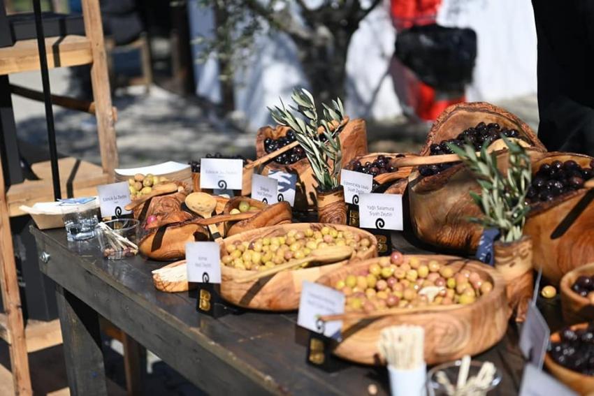 BÜYÜKŞEHIR, ZEYTIN ŞEHRINDE; ZEYTIN KITABINI TANITTI