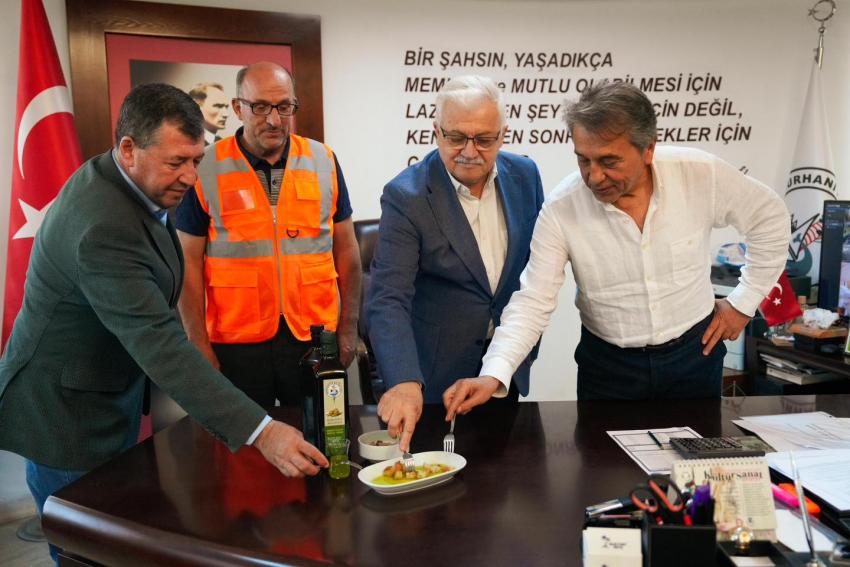 BURHANİYE’DE ZEYTİN HASADI BAŞLADI