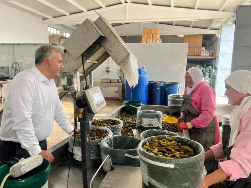 CANBEY'İN TARLADA İZİ VAR