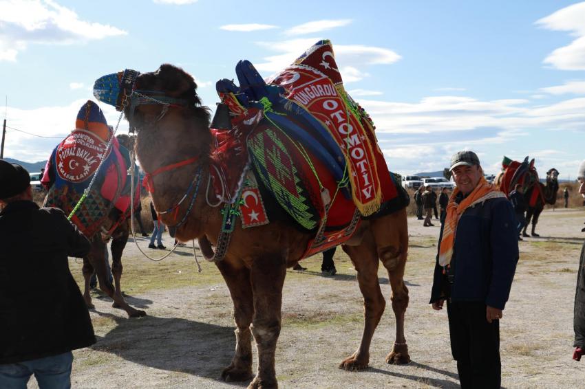 BURHANİYE’DE DEVELER HAVUTLARINI TÖRENLE GİYDİ