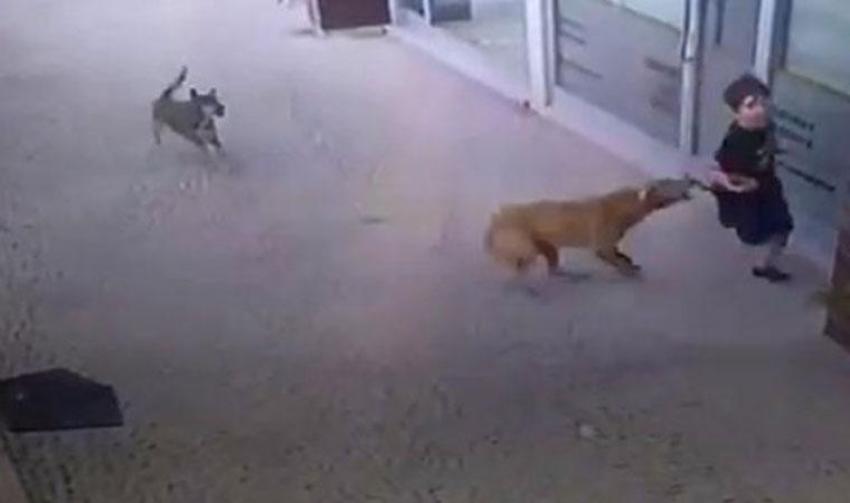 CUMHURBAŞKANI ERDOĞAN