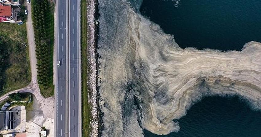 Müsilajla Mücadele İçin Bilim Kurulu Kuruldu