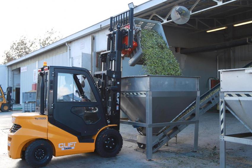 BURHANİYE'DE ZEYTİN HASADI BAŞLADI