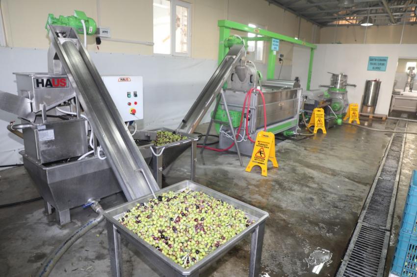 Edremit Belediyesi’nden zeytine büyük destek