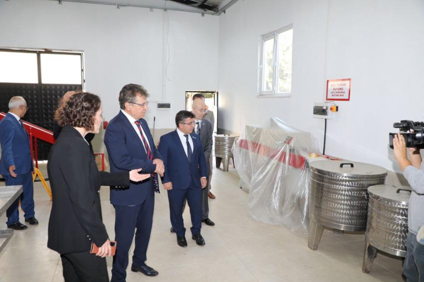 Edremit Belediyesi’nden zeytine büyük destek