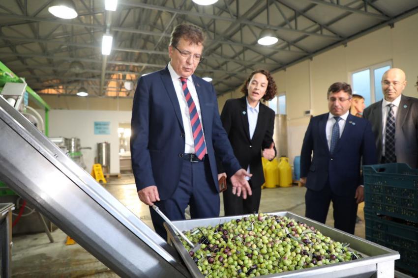 Edremit Belediyesi’nden zeytine büyük destek