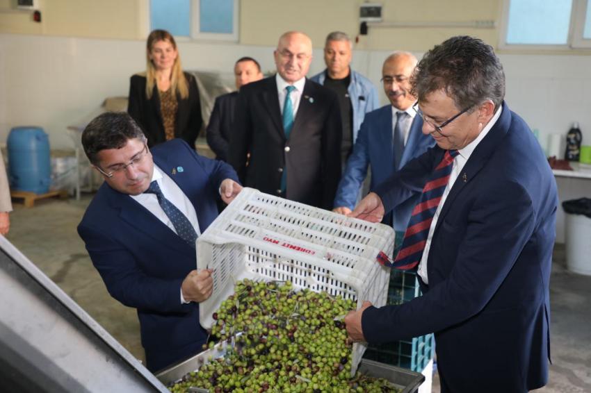 Edremit Belediyesi’nden zeytine büyük destek