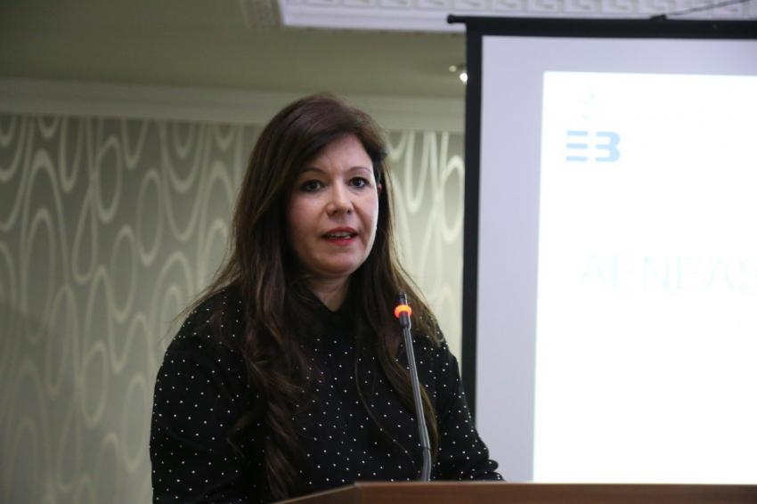 AENEAS KÜLTÜR ROTASI PAYDAŞLARI EDREMİT'TE BİR ARAYA GELDİ