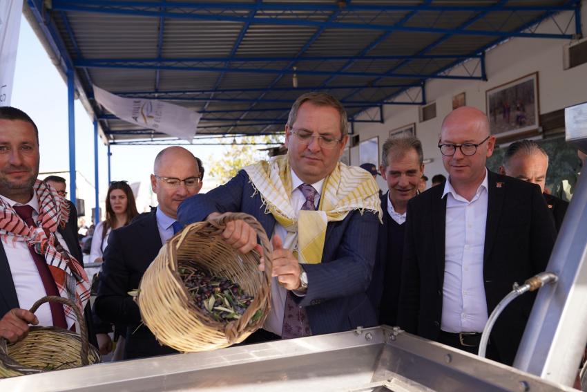 AYVALIK’TA ZEYTİN HASAT FESTİVALİ BAŞLADI