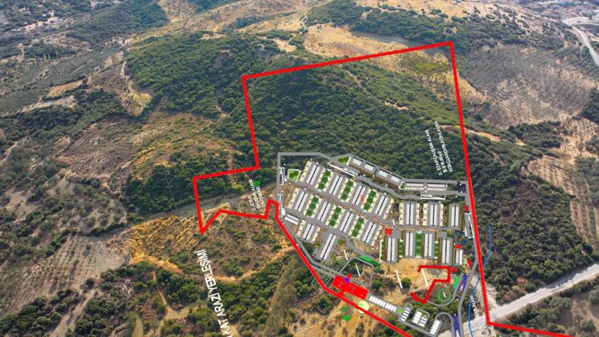 Ayvalık Belediyesi sokaktaki can dostların da yanında