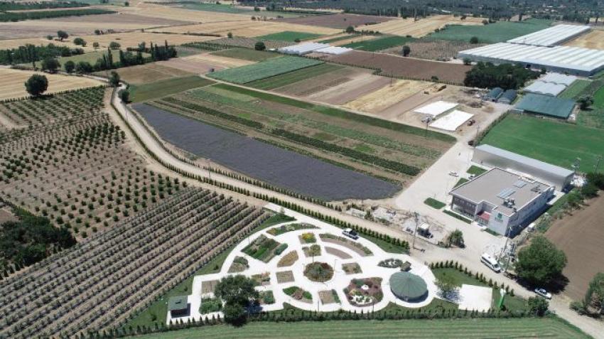 BELEDIYE-ÜNIVERSITE IŞ BIRLIĞIYLE BITKISEL ÜRÜNLER TANITILACAK