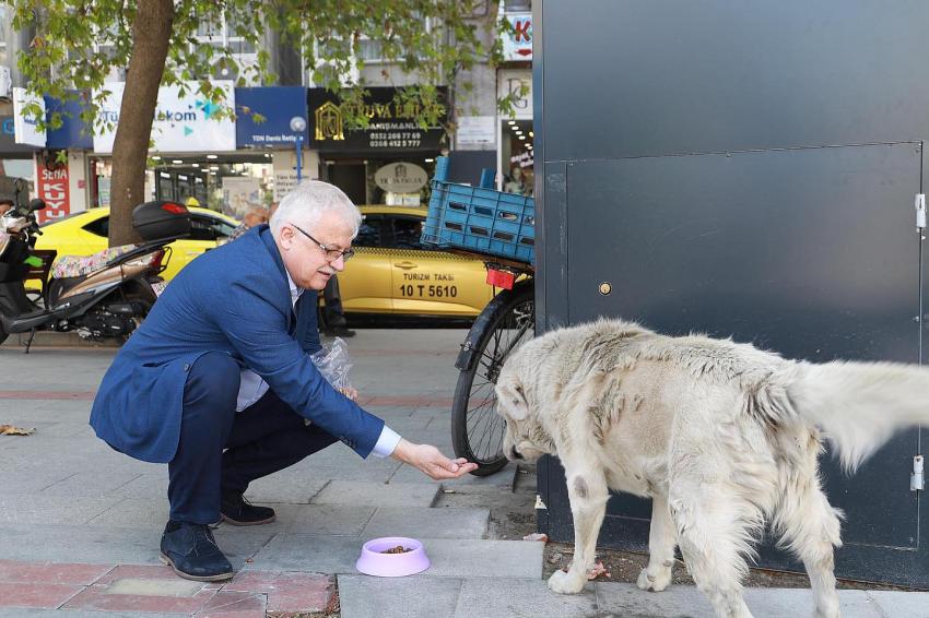 BAŞKAN DEVECİLER DÜNYA HAYVANLARI KORUMA GÜNÜNÜ HAYVANSEVERLER İLE KUTLADI