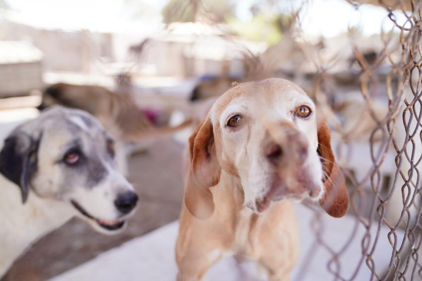 BAŞKAN MESUT ERGİN; SEVGİMİZ BİR GÜN DEĞİL, HER GÜN! 