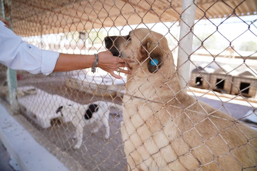 BAŞKAN MESUT ERGİN; SEVGİMİZ BİR GÜN DEĞİL, HER GÜN! 