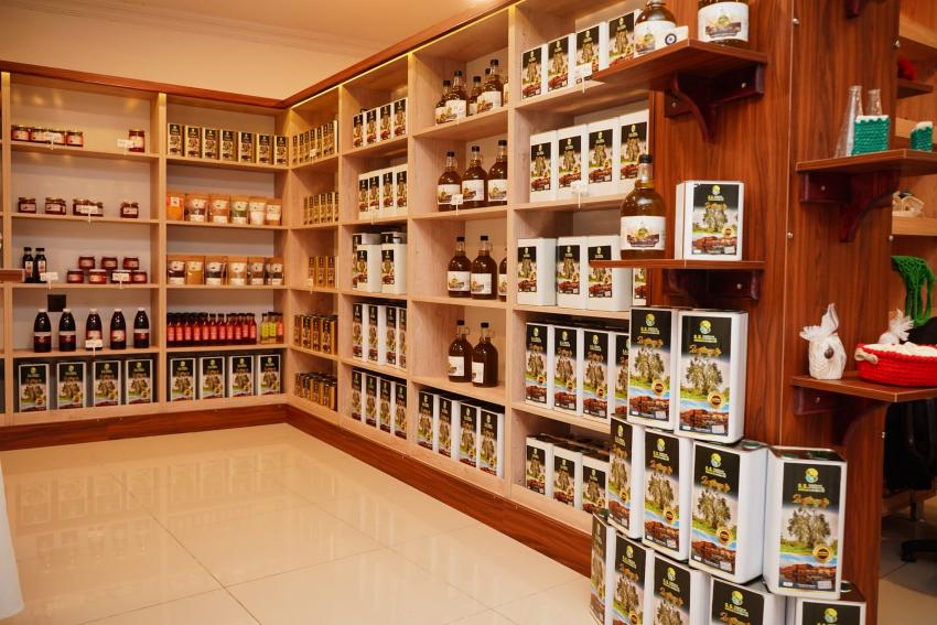 BELEDİYE’NİN ZEYTİN AĞAÇLARINDAN 10 BİN 500 LİTRE ZEYTİNYAĞI ELDE EDİLDİ