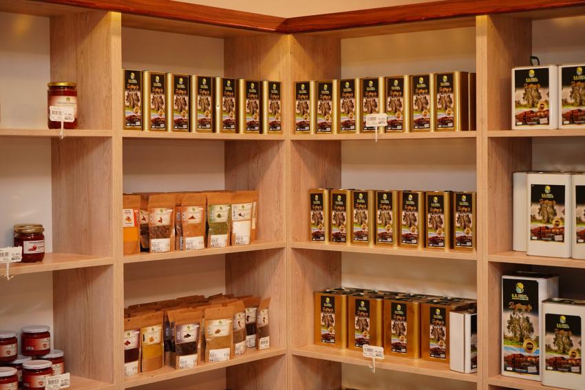 BELEDİYE’NİN ZEYTİN AĞAÇLARINDAN 10 BİN 500 LİTRE ZEYTİNYAĞI ELDE EDİLDİ