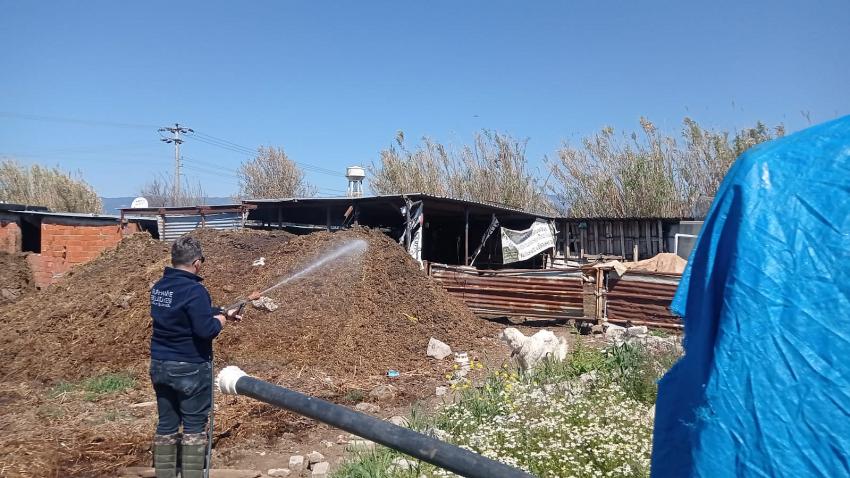 BURHANİYE’DE İLAÇLAMALAR SÜRÜYOR