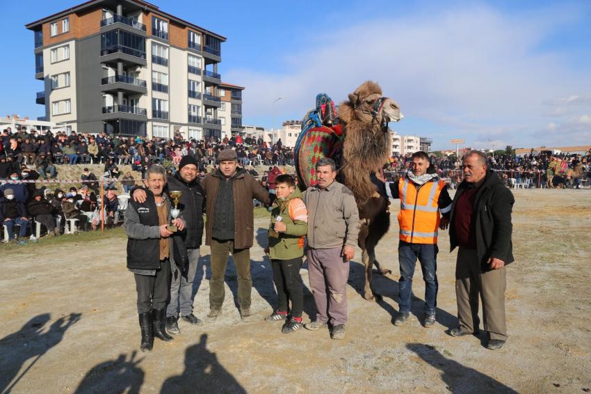 BURHANİYE DEVE GÜREŞLERİ NEFES KESTİ