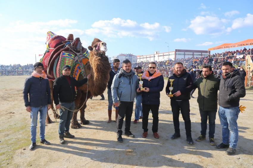 BURHANİYE DEVE GÜREŞLERİ NEFES KESTİ