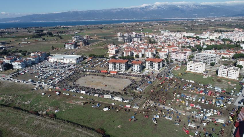 BURHANİYE DEVE GÜREŞLERİ NEFES KESTİ