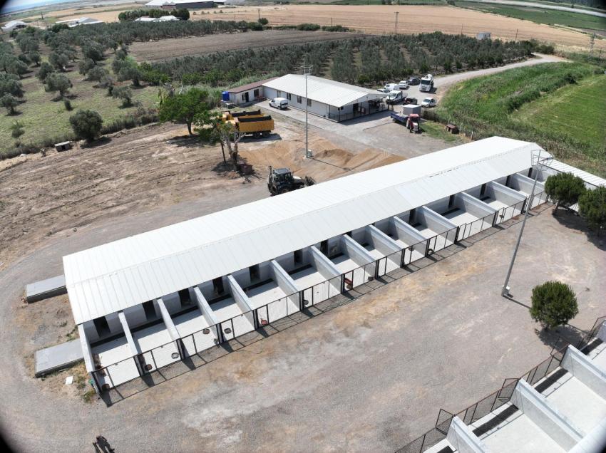 Büyükşehir, Edremit Çıkrıkçı Hayvan Barınağı’nı tıbbi cihazlarla güçlendirdi