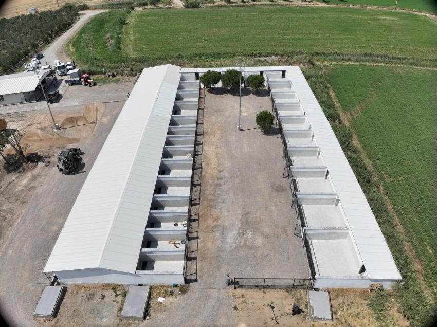 Büyükşehir, Edremit Çıkrıkçı Hayvan Barınağı’nı tıbbi cihazlarla güçlendirdi